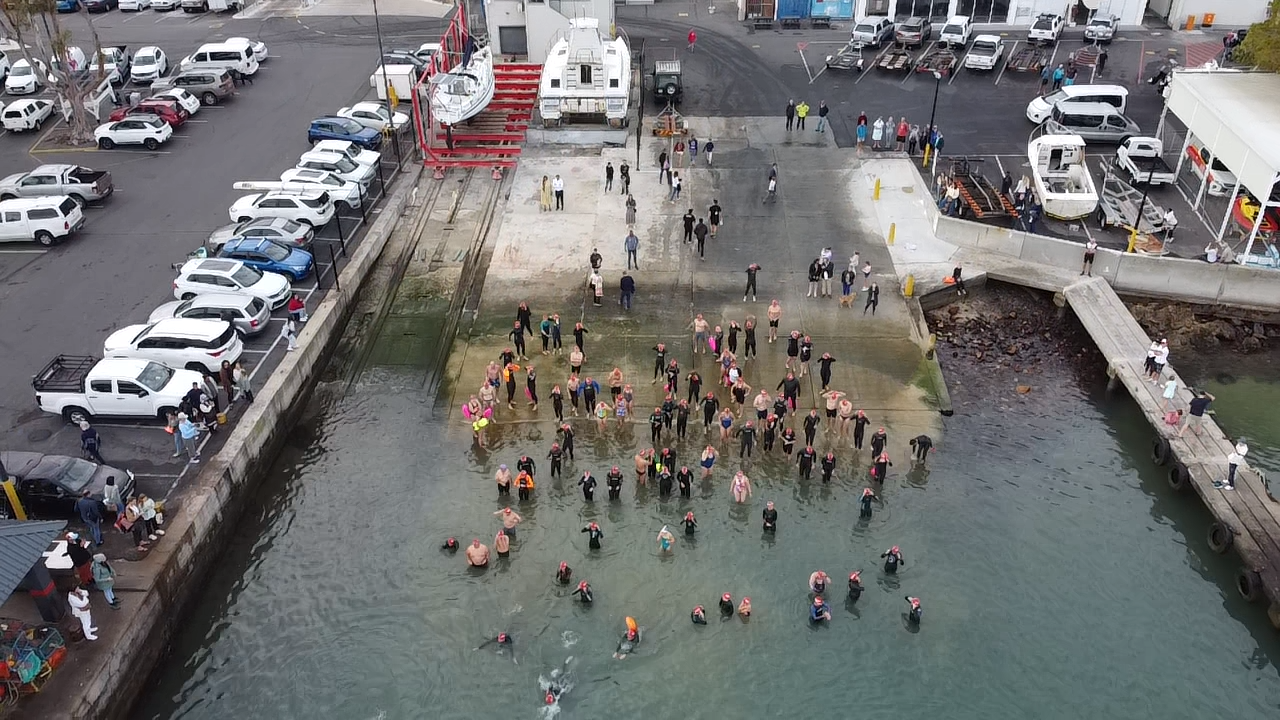 Harbour to Harbour Swim photo 2